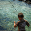 Try your luck at fishing in a favorite spot