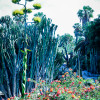Montjuic Park