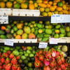 Mango season in Hawaii