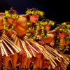 Noel Morata Photography