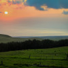 Kohala Mountain, Hawii
