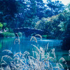 Stow lake in Golden Gate park