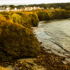 Coastal Hike along the Mendocino coastline