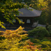 Temple of the silver pavilion in Kyoto,Travel Photo Mondays #18