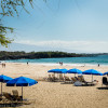 Waimea Ocean Film Festival