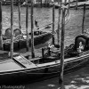 Venice 10 random thoughts, advice and quirky observations