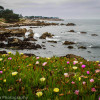 Pacific Grove looking out to Lovers Point