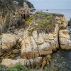 Hiking the coastal trails at Point Lobos State Reserve