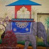 Who wants a ride on an elephant?