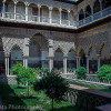The courtyard of the maidens at the Alcazar in Seville