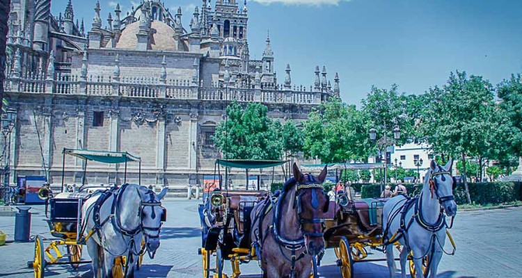 Discovering Seville in all the small details