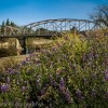 Visiting Hip Healdsburg, CA - Travel Photo Mondays