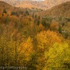 A panorama of Fall time in Plitvice National Park