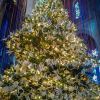 1000 cranes at Grace Cathedral