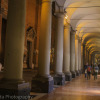 Bologna at night: highlights around the city, the landmarks and attractions