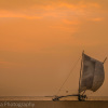 Sri Lanka sunset at Negombo
