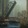 Bridges of Chicago - Chicago river cruise