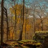 Ohio fall season - Travel Photo Postcards - autumn in Ohio