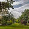Visit Miami - Miami Beach Botanical Gardens