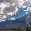 Wildlife tour at Grand Tetons National Park