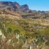 Driving the Apache Trail in Arizona