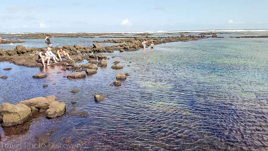 Kapoho tide poolsThings to do the Big Island with kids