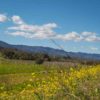 Napa Valley vacation getaway