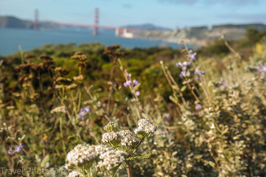 San Francisco coastal walk in spring