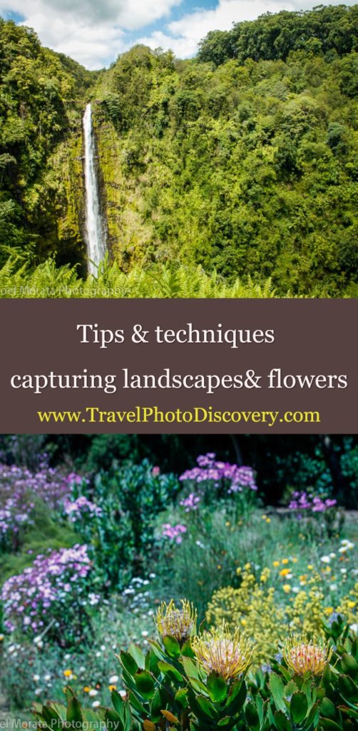 Flower and landscape photography techniques