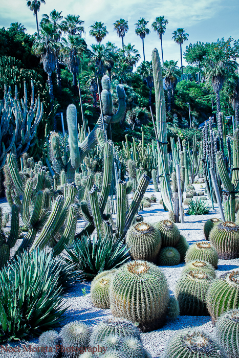 Montjuic parks and botanic gardens in Barcelona