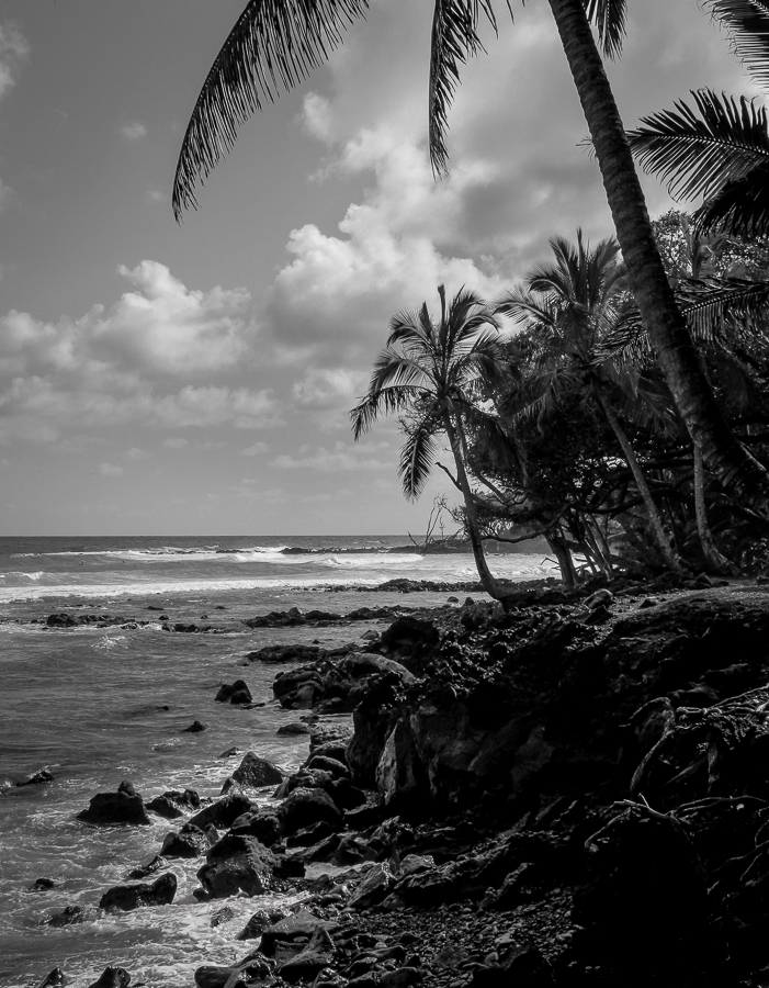 Driving the Puna Coastline – a photo tour