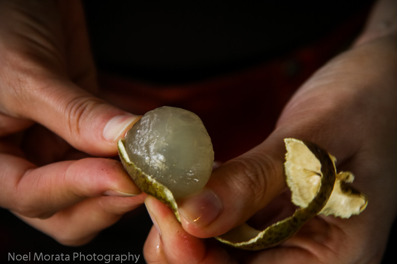 Tropical fruit from Hawaii