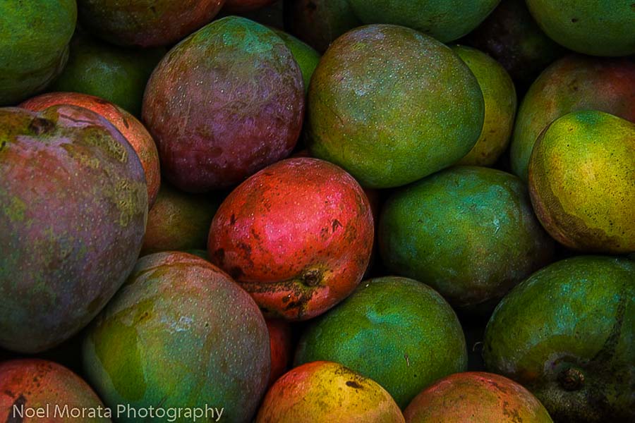 Mangoes Mango Season in Hawaii