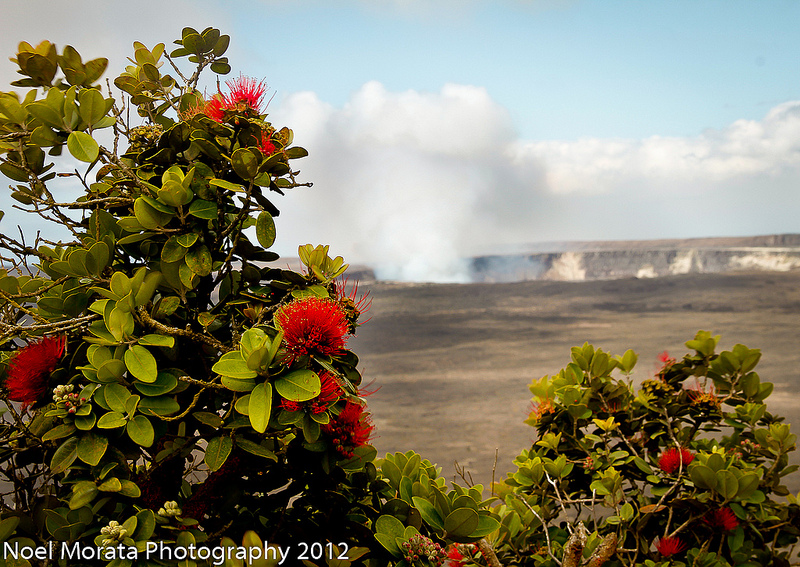Hawaii Island, top places to visit on the east side