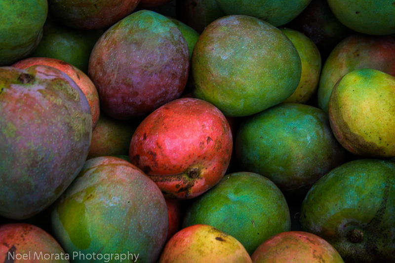 Mango season in Hawaii