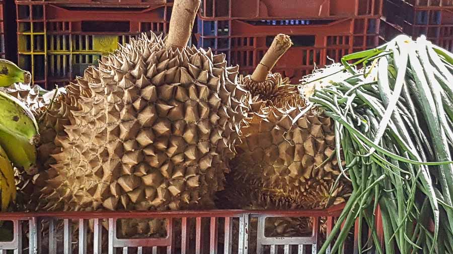 Durian ropical fruit from Hawaii