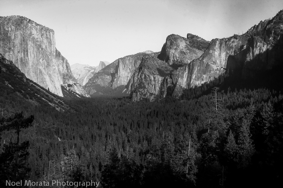 Yosemite images in black and white