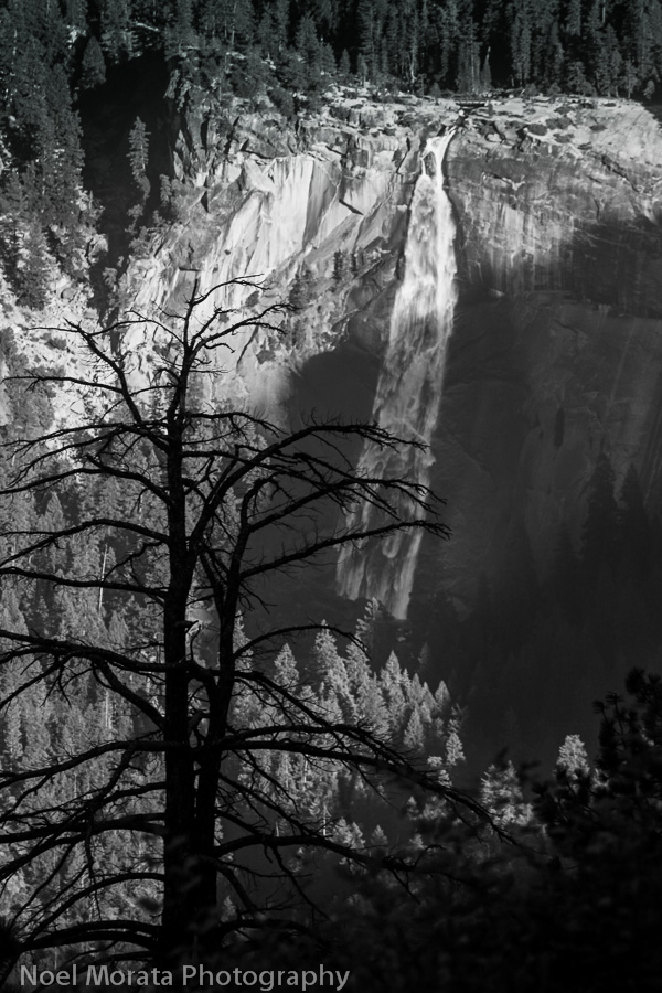 Yosemite images in black and white