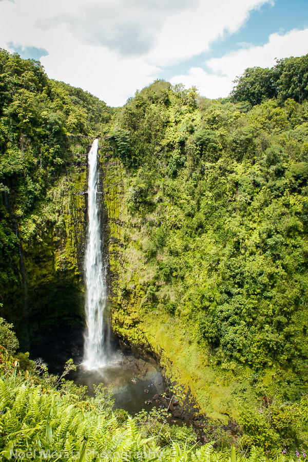 Akaka Falls on the Big Island of Hawaii