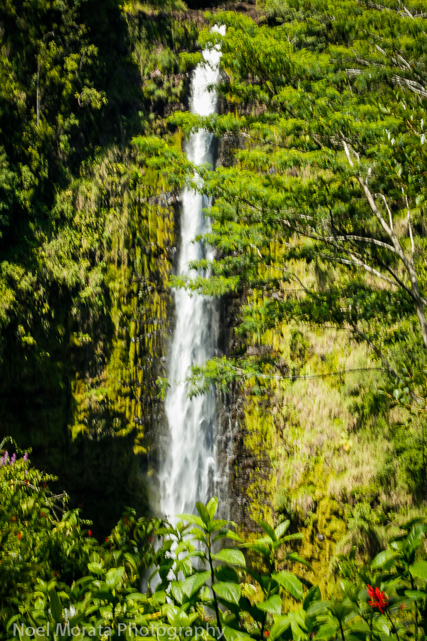 Akaka Falls on the Big Island