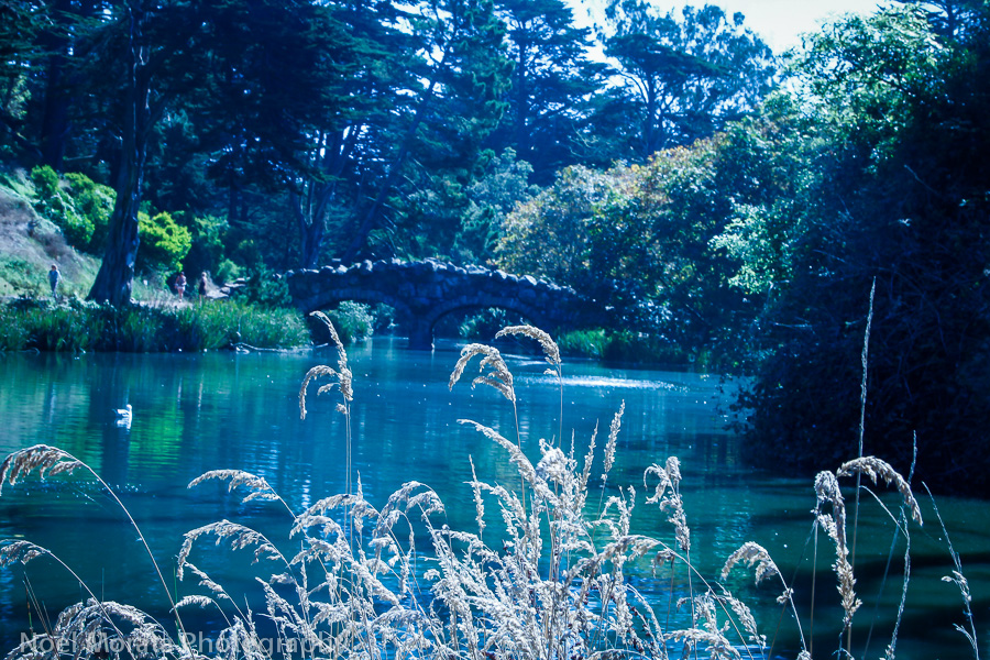 Stow Lake in Golden Gate park, Travel Photo Mondays #7