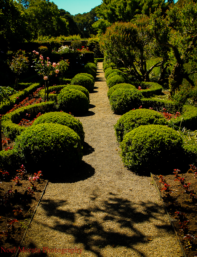 Filoli estate and gardens, Woodside