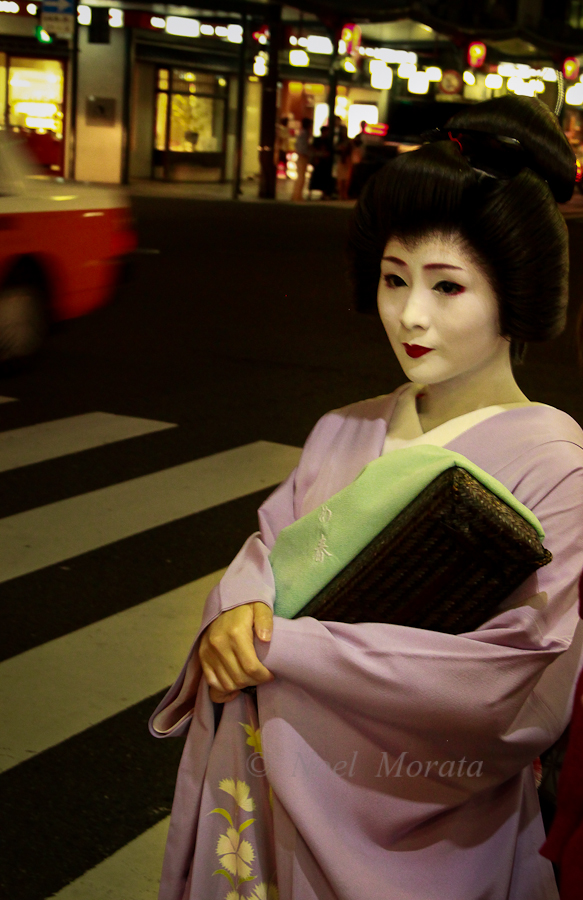 Looking for Geishas in the Gion and Pontocho, Kyoto