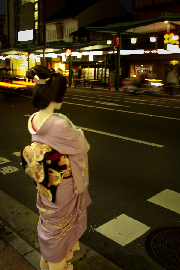 Looking for Geishas in the Gion and Pontocho, Kyoto