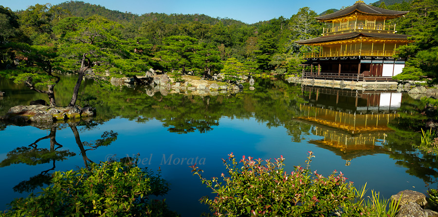 Golden Temple at Kyoto,Travel Photo Mondays #20