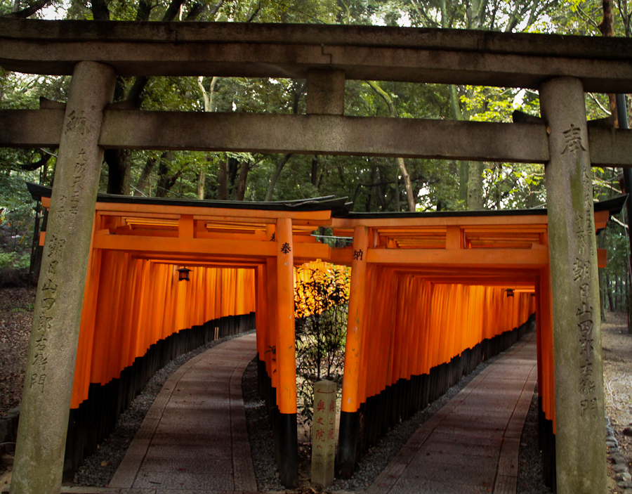 Uphill and downhill paths of the torii gates