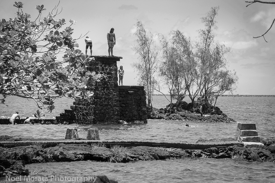 Coconut island in black and white