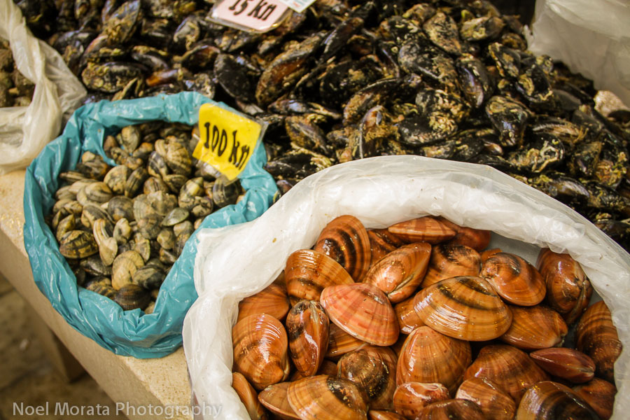 Split, Croatia fish market shell fish on display