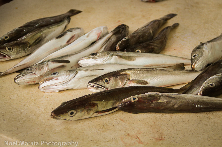 Split, Croatia - The Morning Fish Market