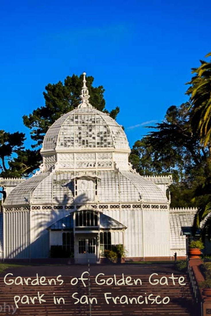 Gardens in Golden Gate Park at San Francisco